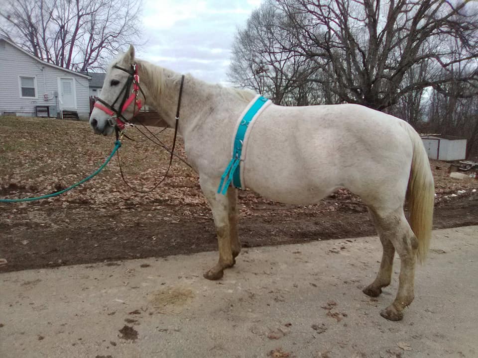 Star showing off some of her new gear from Smart Pack
